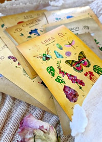 Image 2 of Zodiac Signs Art Postcard Bundle