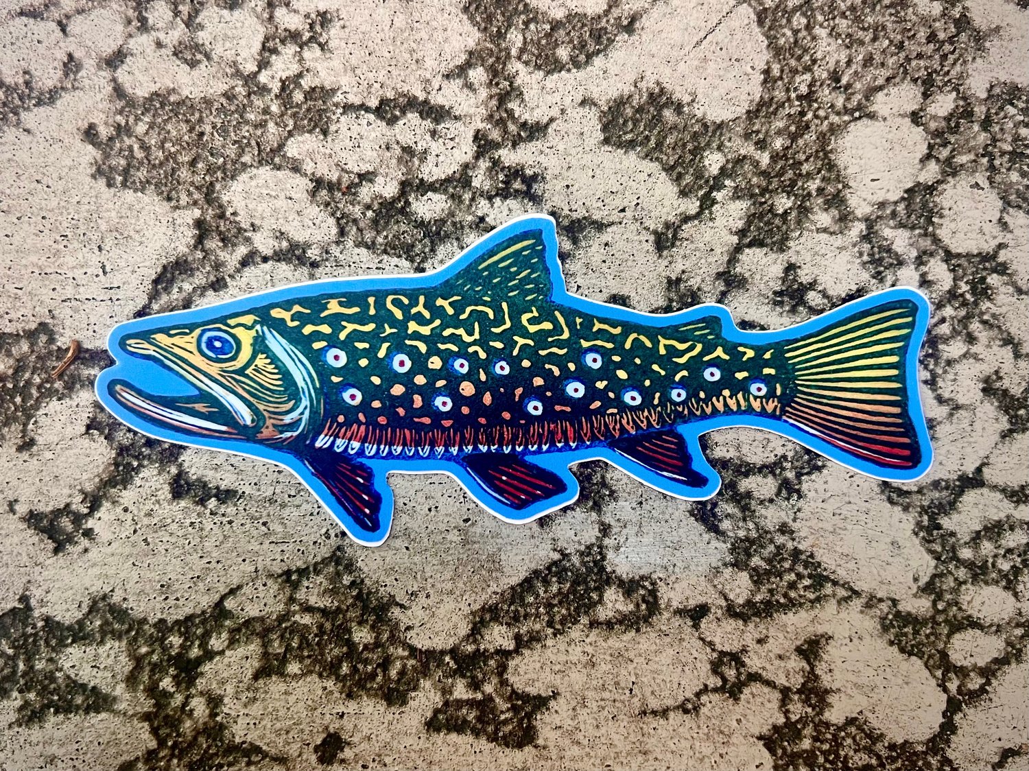 Image of Brook Trout stickers