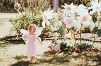 Image 14 of Flutters