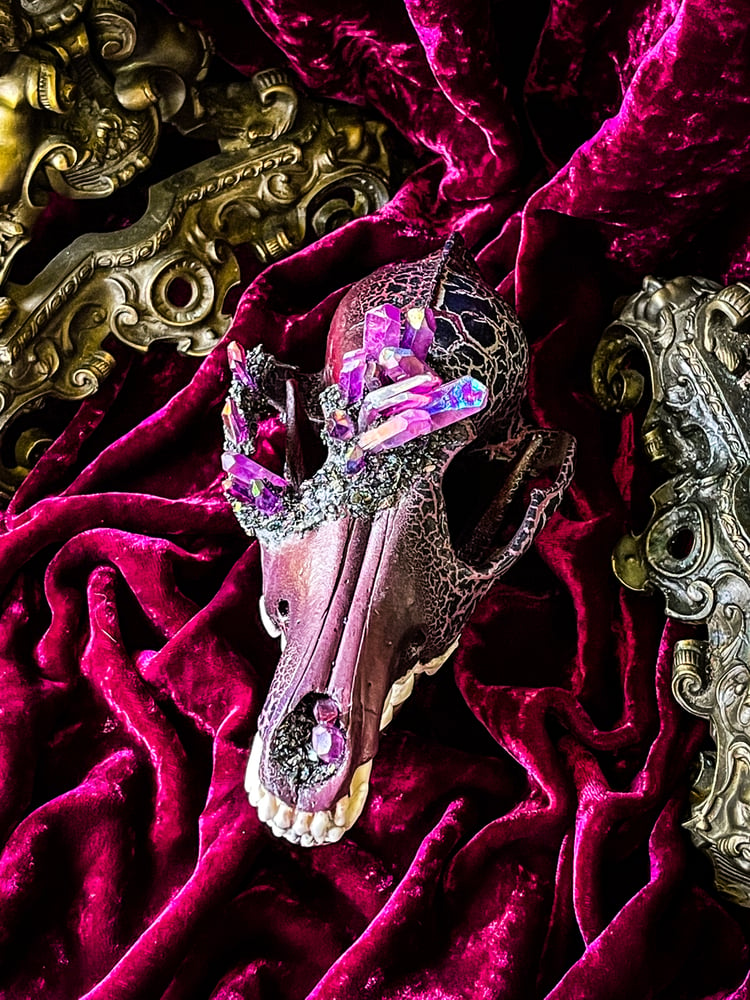 Image of Purple Aura Quartz & Carborundum - Coyote Skull