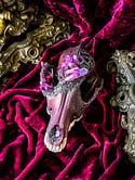 Magenta Aura Quartz & Carborundum - Coyote Skull