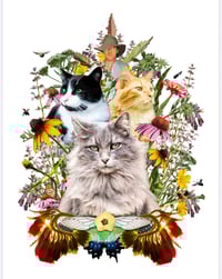 Image 2 of Decals/Stickers