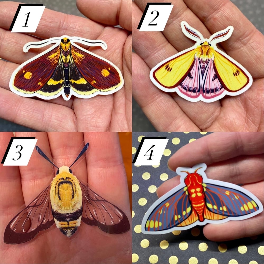 Image of Small Moth Stickers