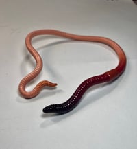 Image 1 of Standard Segmented Neck Cuff