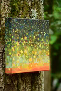 Image 2 of Brook: Fish Skin Series