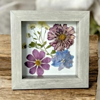 Image 2 of Chrysanthemum, Cosmos And Delphinium Wildflowers In 6" X 6" Shadow Box (Item# 202216S)