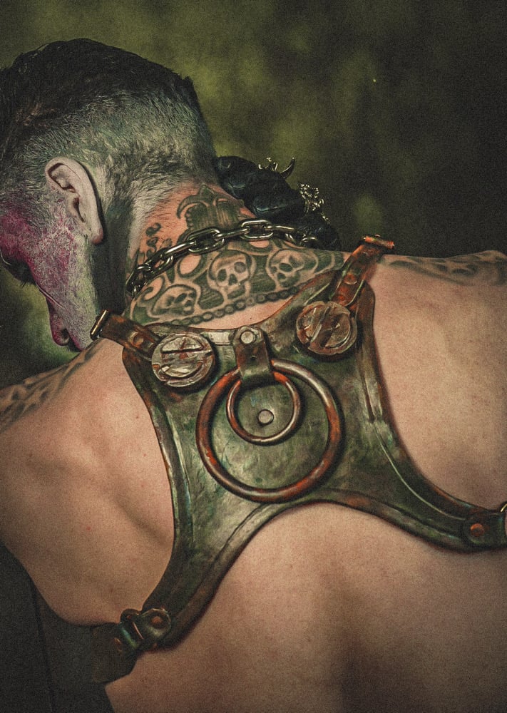 Leather Wasteland Harness
