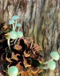 Image 3 of Pinecones led mushrooms