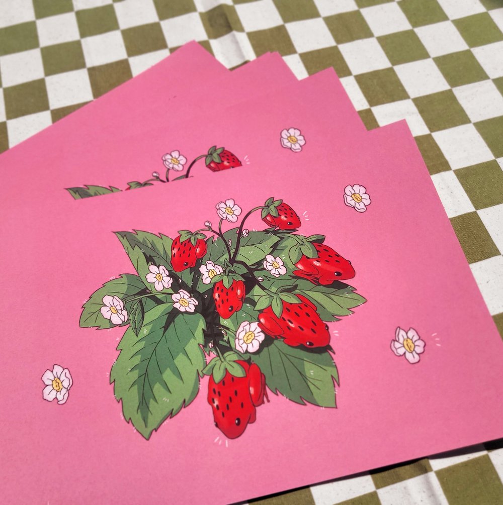 Image of Strawberry Frogs πΈ π