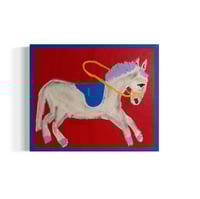 Circus Rider