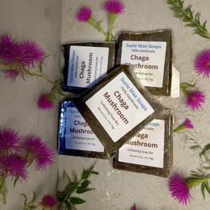 Image of Chaga Mushroom Soap