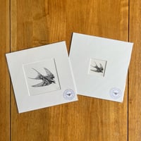 Swallow Giclee Print