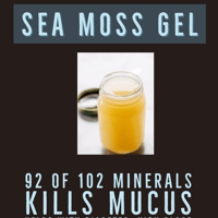 In-person Sea Moss Gel Large 16oz 