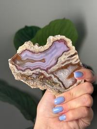 Image 2 of DOUBLE SIDED LAGUNA AGATE SLICE B WITH PARALAX
