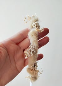 Image 2 of halo douceur