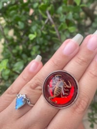 Image 5 of Scorpion ring