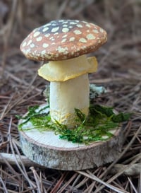 Image 1 of Mushroom Sculptures