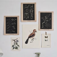 Image 1 of Planches De Bestiaire Du Muséum D'histoire Naturelle - les oiseaux