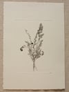 Bouquet 06 - A4 - Original Botanical Monoprint