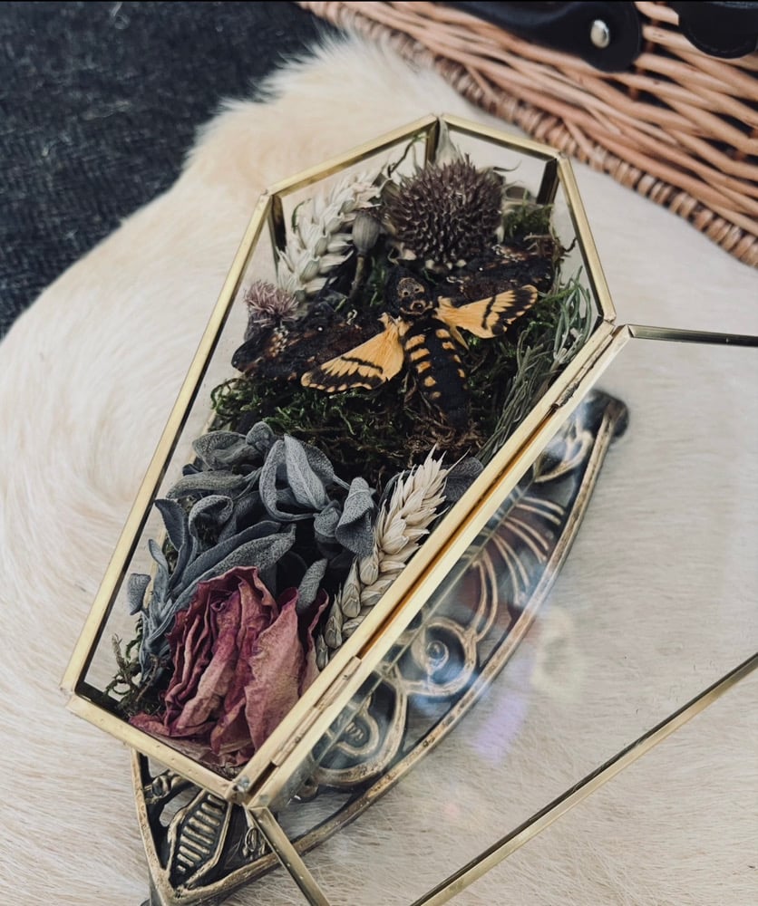 Image of Floral Death Head Casket Curiosity 