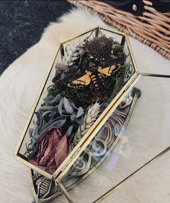 Image of Floral Death Head Casket Curiosity 