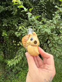 Image 2 of Water Snail
