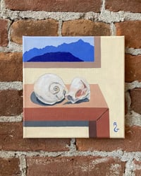 Image 1 of Moonsnails Still Life  