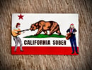 Image 2 of BILLY & WILLY - CALIFORNIA SOBER MAGNETS