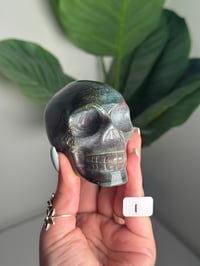 Image 9 of CHOOSE YOUR OWN SEA JASPER SKULL -MADAGASCAR-