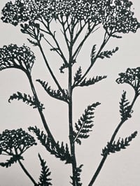 Image 6 of Venus Achillea • Planherbarium linocut paper print
