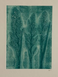 Image 2 of Grass Ghost Original Botanical Monoprint Blue A4