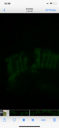 Image 3 of glow in dark lifeaftermournin sweater 