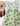 Apple Green Floral Vintage Fabric Julia Dress with Free Postage 