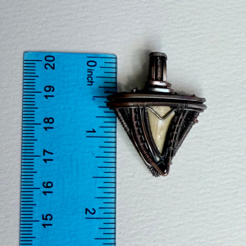 Image of Sharktooth Pendant