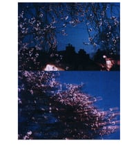 Image 1 of SPRING NIGHT