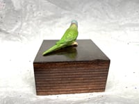 Image 19 of Handmade Custom Engraved Indian Ring Neck Parrot Urn Handpainted Pet Portrait
