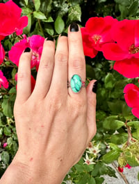 Image 3 of Dry Desert Oasis Variscite Ring
