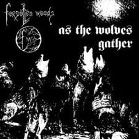 Forgotten Woods. As the wolves gather