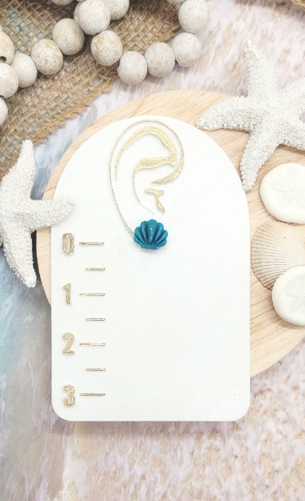 Image of Seashell Stud Pack