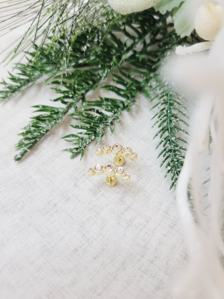 Image of Summer Earrings 