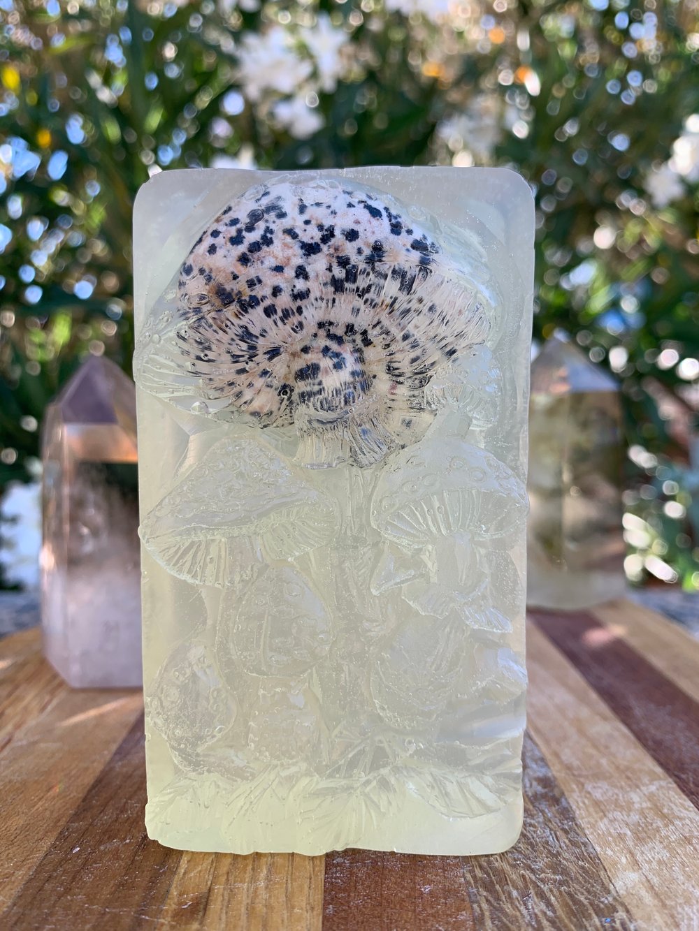 Image of Magic Mushroom Divine Masculine Aura Cleanse Soap Bar 