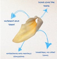 Image 3 of Natural Cow Ear Chews