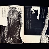 Image 11 of Weekly Playboy Japan April 1973