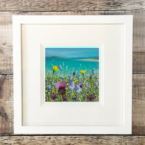 Image of Clachan sands summer wildflowers