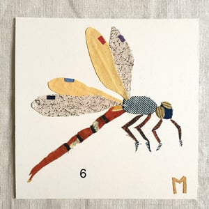Image of square collage / insectes 