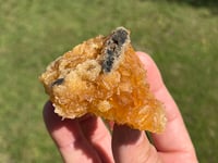 Image 4 of Golden Selenite Specimen #2219