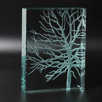 Image 1 of Tree Glass Block