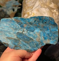 Blue appetite slab 