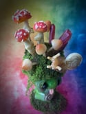 Terrarium