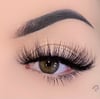 Que Bella Lash